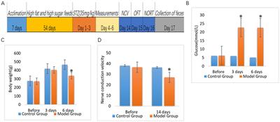 The role of gut microbiota in diabetic peripheral neuropathy rats with cognitive dysfunction